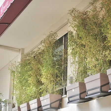 Fleeville Kozi 5 * Durrës